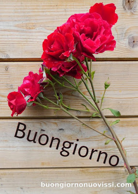 stupende nuovissimo buongiorno immagini recenti