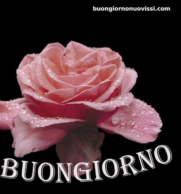 stupende nuovissimo buongiorno immagini recenti