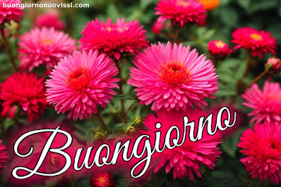 stupende nuovissimo buongiorno immagini recenti