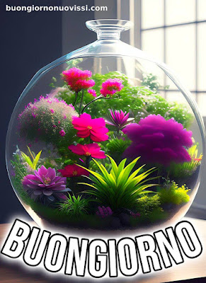stupende nuovissimo buongiorno immagini recenti