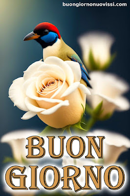stupende nuovissimo buongiorno immagini recenti