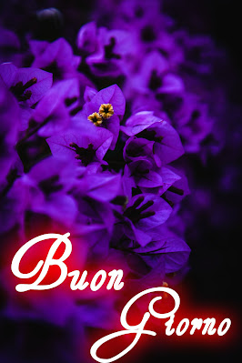 stupende nuovissimo buongiorno immagini recenti