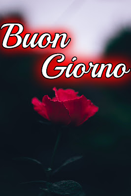 stupende nuovissimo buongiorno immagini recenti