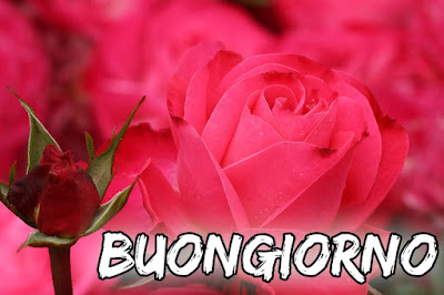 stupende nuovissimo buongiorno immagini recenti