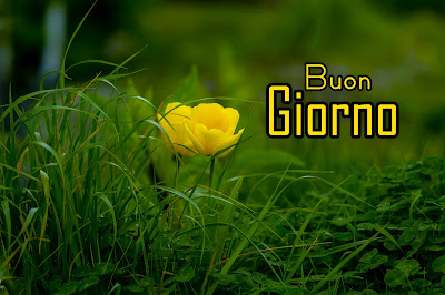 stupende nuovissimo buongiorno immagini recenti