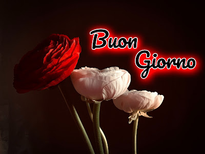 stupende nuovissimo buongiorno immagini recenti