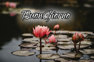 stupende nuovissimo buongiorno immagini recenti