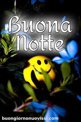 toghigi paper nuovissimo buonanotte immagini recenti toghigi paper nuovissimo buonanotte immagini recenti