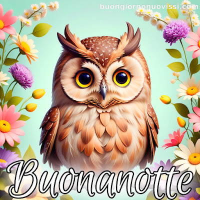 toghigi paper nuovissimo buonanotte immagini recenti