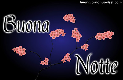 toghigi paper nuovissimo buonanotte immagini recenti toghigi paper nuovissimo buonanotte immagini recenti