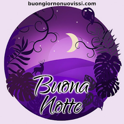 toghigi paper nuovissimo buonanotte immagini recenti toghigi paper nuovissimo buonanotte immagini recenti