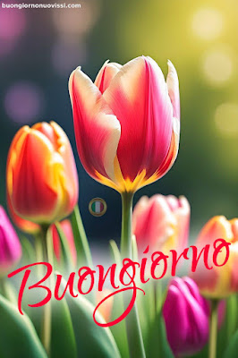 whatsapp bellissime buongiorno immagini nuove whatsapp bellissime buongiorno immagini nuove