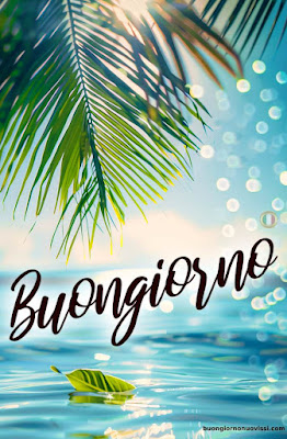 whatsapp bellissime buongiorno immagini nuove whatsapp bellissime buongiorno immagini nuove