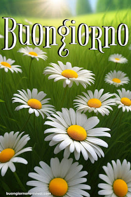 whatsapp bellissime buongiorno immagini nuove whatsapp bellissime buongiorno immagini nuove