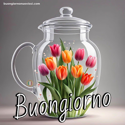 whatsapp bellissime buongiorno immagini nuove whatsapp bellissime buongiorno immagini nuove