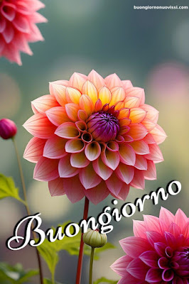 whatsapp bellissime buongiorno immagini nuove whatsapp bellissime buongiorno immagini nuove