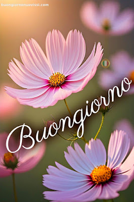 whatsapp bellissime buongiorno immagini nuove whatsapp bellissime buongiorno immagini nuove