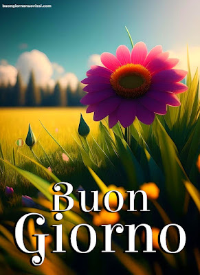 whatsapp bellissime buongiorno immagini nuove whatsapp bellissime buongiorno immagini nuove