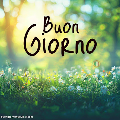whatsapp bellissime buongiorno immagini nuove whatsapp bellissime buongiorno immagini nuove