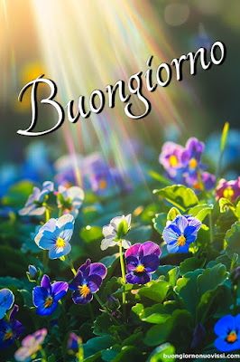 whatsapp buongiorno divertenti