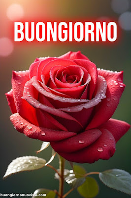 whatsapp buongiorno divertenti