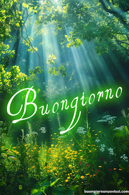 whatsapp buongiorno divertenti