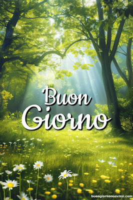 whatsapp buongiorno divertenti