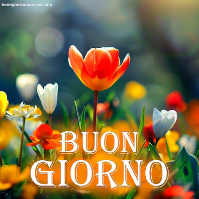 whatsapp buongiorno divertenti