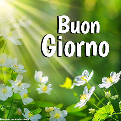 whatsapp buongiorno divertenti