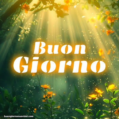 whatsapp buongiorno divertenti