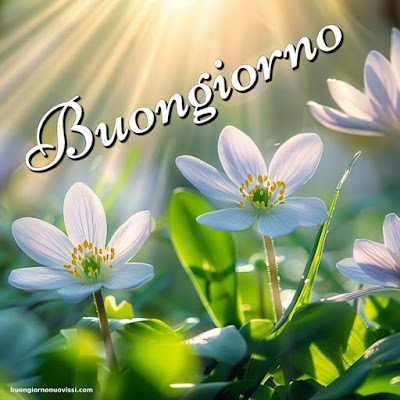 whatsapp buongiorno divertenti