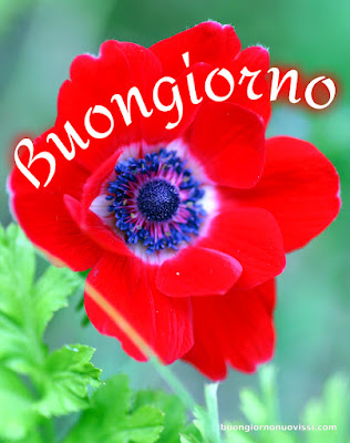 whatsapp buongiorno nuovissimi
