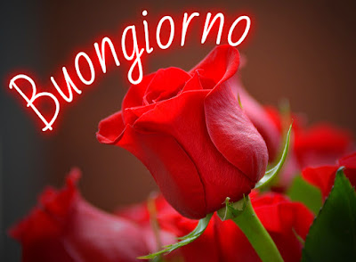 whatsapp buongiorno nuovissimi
