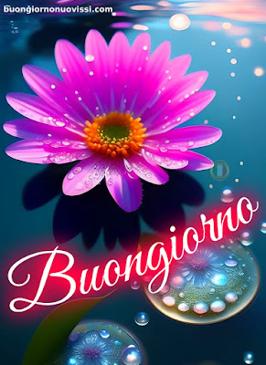 whatsapp buongiorno nuovissimi