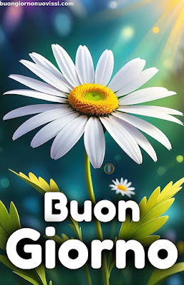 whatsapp buongiorno nuovissimi