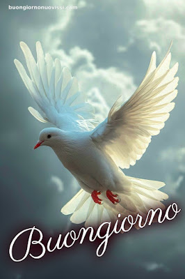 whatsapp buongiorno nuovissimi