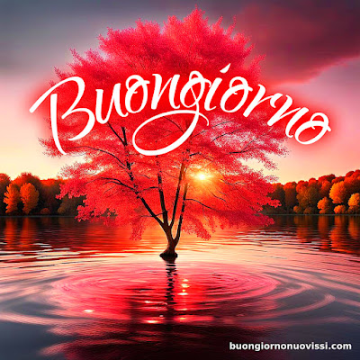 whatsapp buongiorno nuovissimi