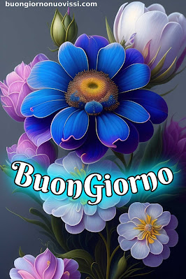 whatsapp nuovissimo buongiorno immagini recenti whatsapp nuovissimo buongiorno immagini recenti