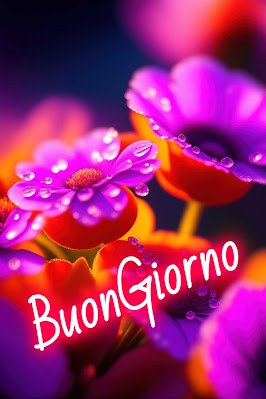 whatsapp nuovissimo buongiorno immagini recenti whatsapp nuovissimo buongiorno immagini recenti
