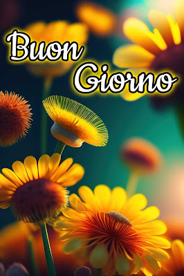 whatsapp nuovissimo buongiorno immagini recenti whatsapp nuovissimo buongiorno immagini recenti