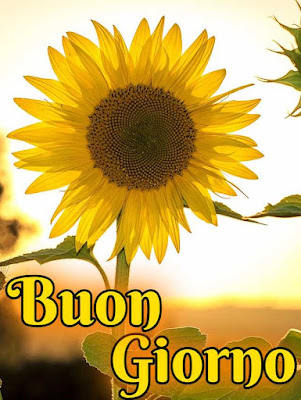whatsapp nuovissimo buongiorno immagini recenti whatsapp nuovissimo buongiorno immagini recenti