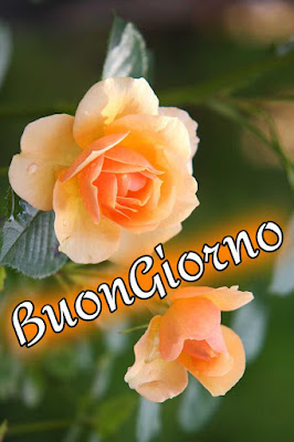 whatsapp nuovissimo buongiorno immagini recenti whatsapp nuovissimo buongiorno immagini recenti