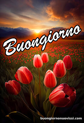 whatsapp nuovissimo buongiorno immagini recenti whatsapp nuovissimo buongiorno immagini recenti