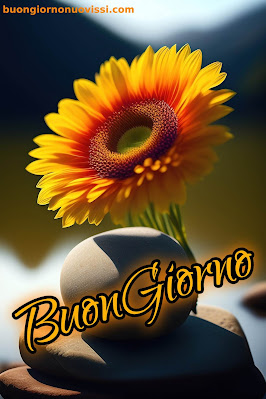 whatsapp nuovissimo buongiorno immagini recenti whatsapp nuovissimo buongiorno immagini recenti