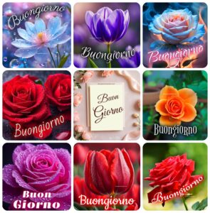 Bellissime Immagini Di Fiori Del Buongiorno