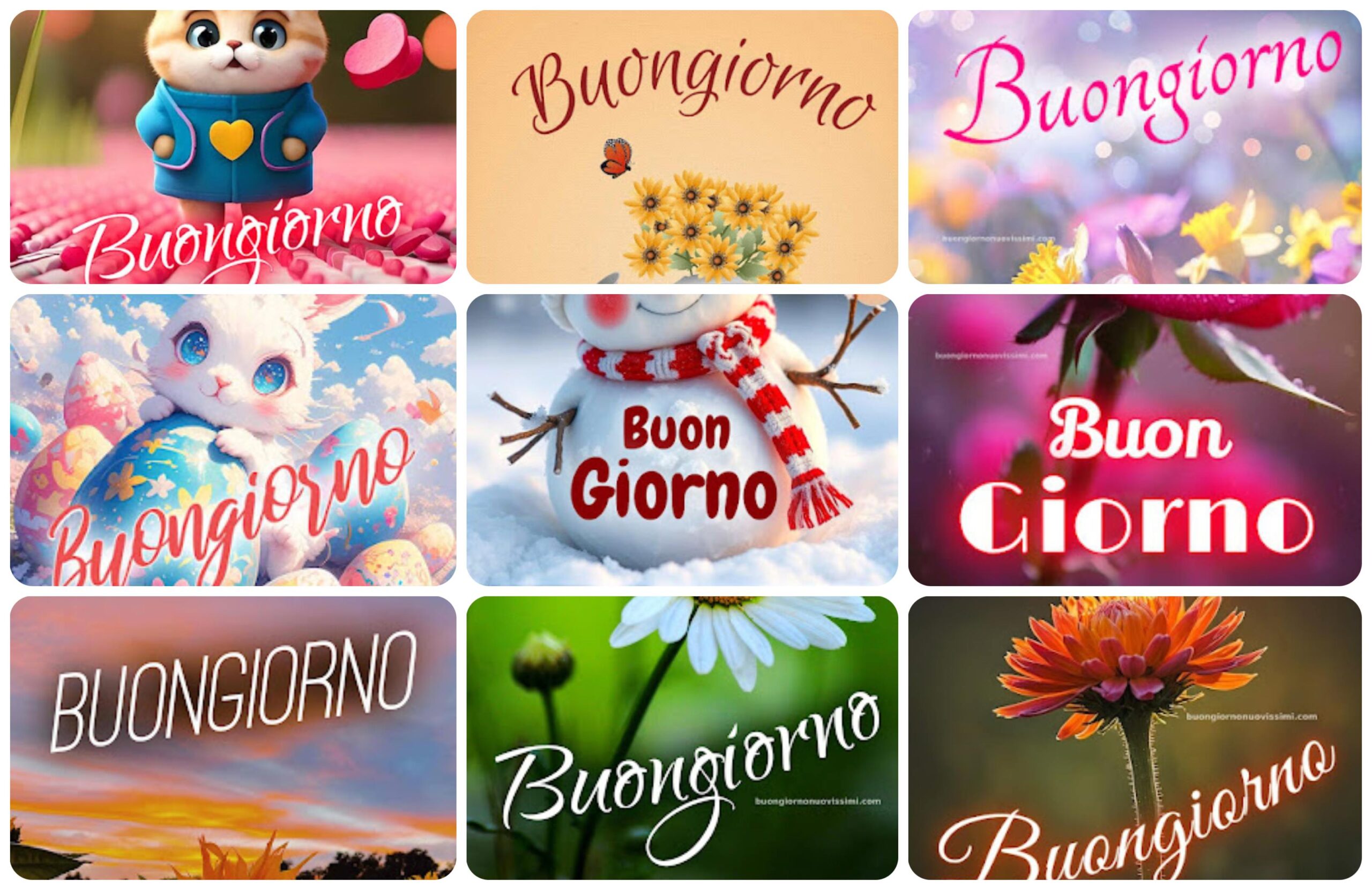 Buon Giorno Amore