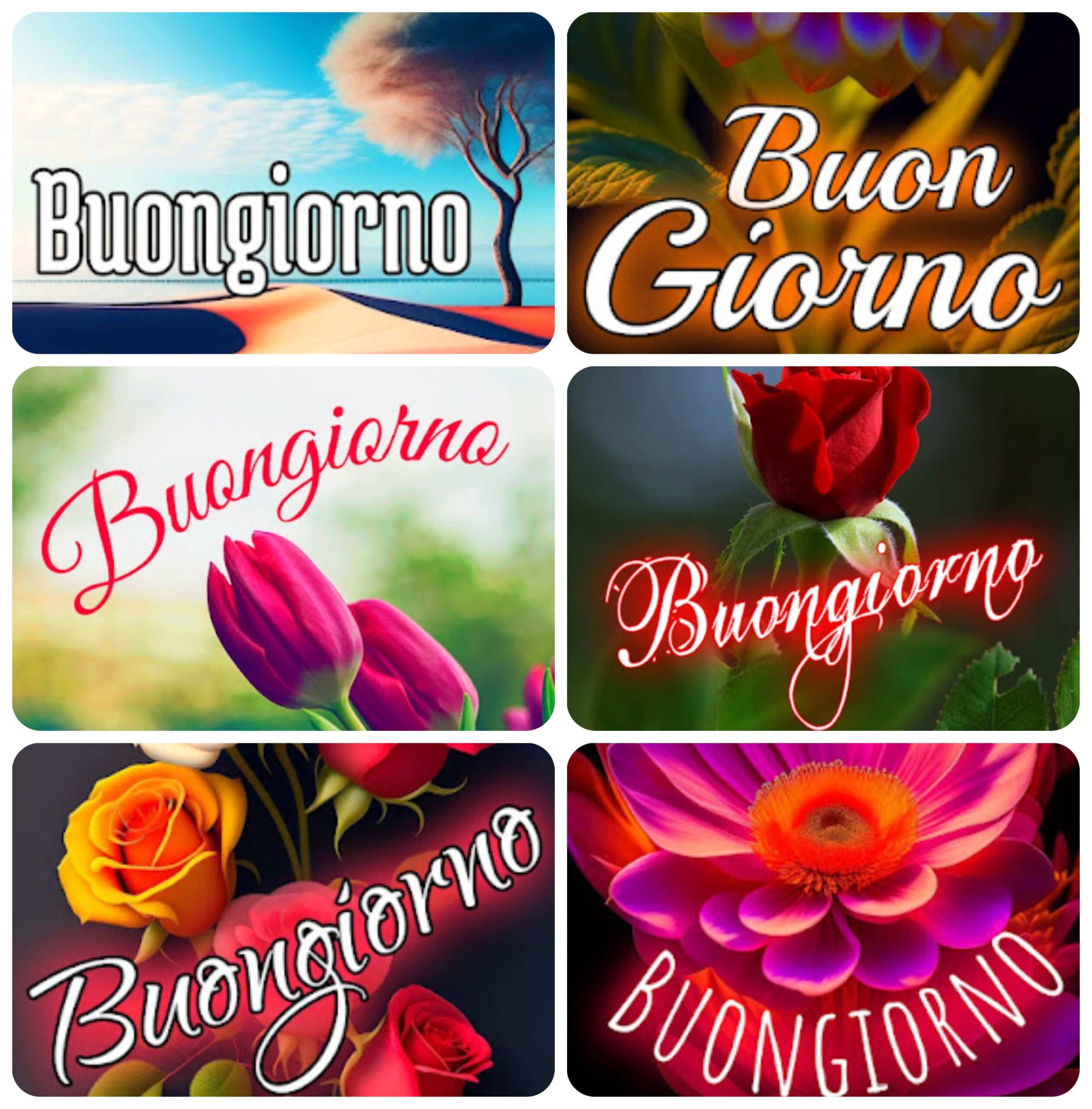 Buongiorno Nuovissimi scaled Buongiorno Nuovissimi