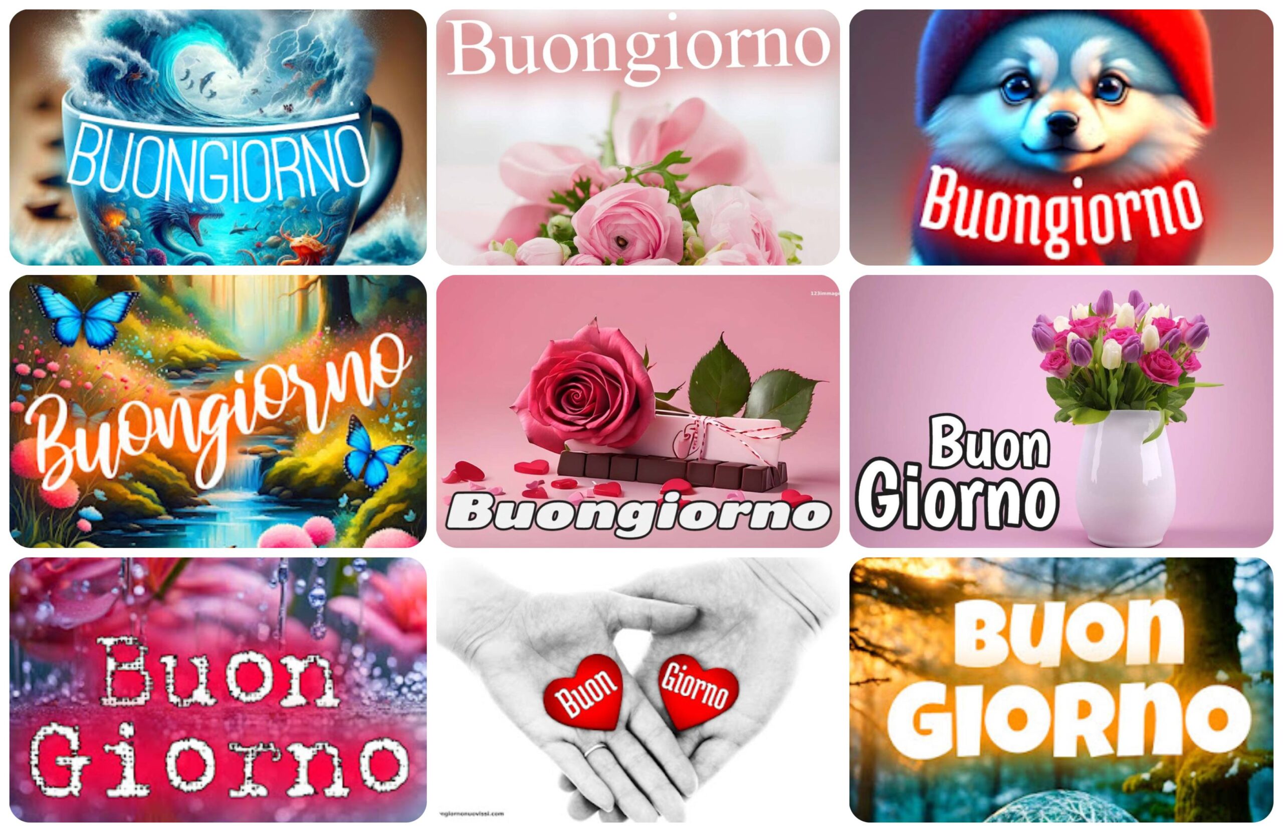 Le Fate Del Sole Buongiorno Immagini Nuove Gratis Per Whatsapp