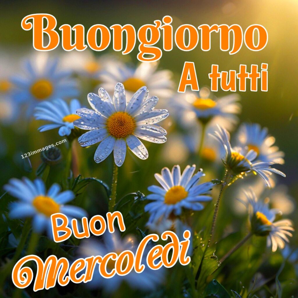 Buongiorno Buon Mercoledi 1 Buongiorno Buon Mercoledì