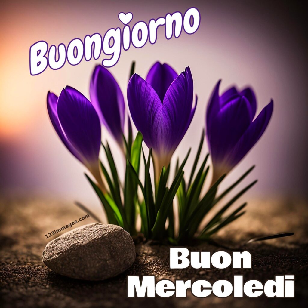 Buongiorno Buon Mercoledi 7 Buongiorno Buon Mercoledì